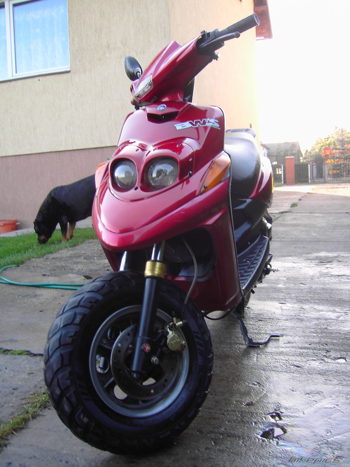 2002 YAMAHA BWS 50 | Picture 1441360 motorcycle photo