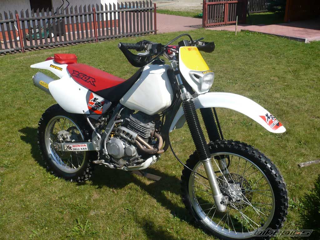 2000 HONDA XR 250 | Picture 1441391 motorcycle photo
