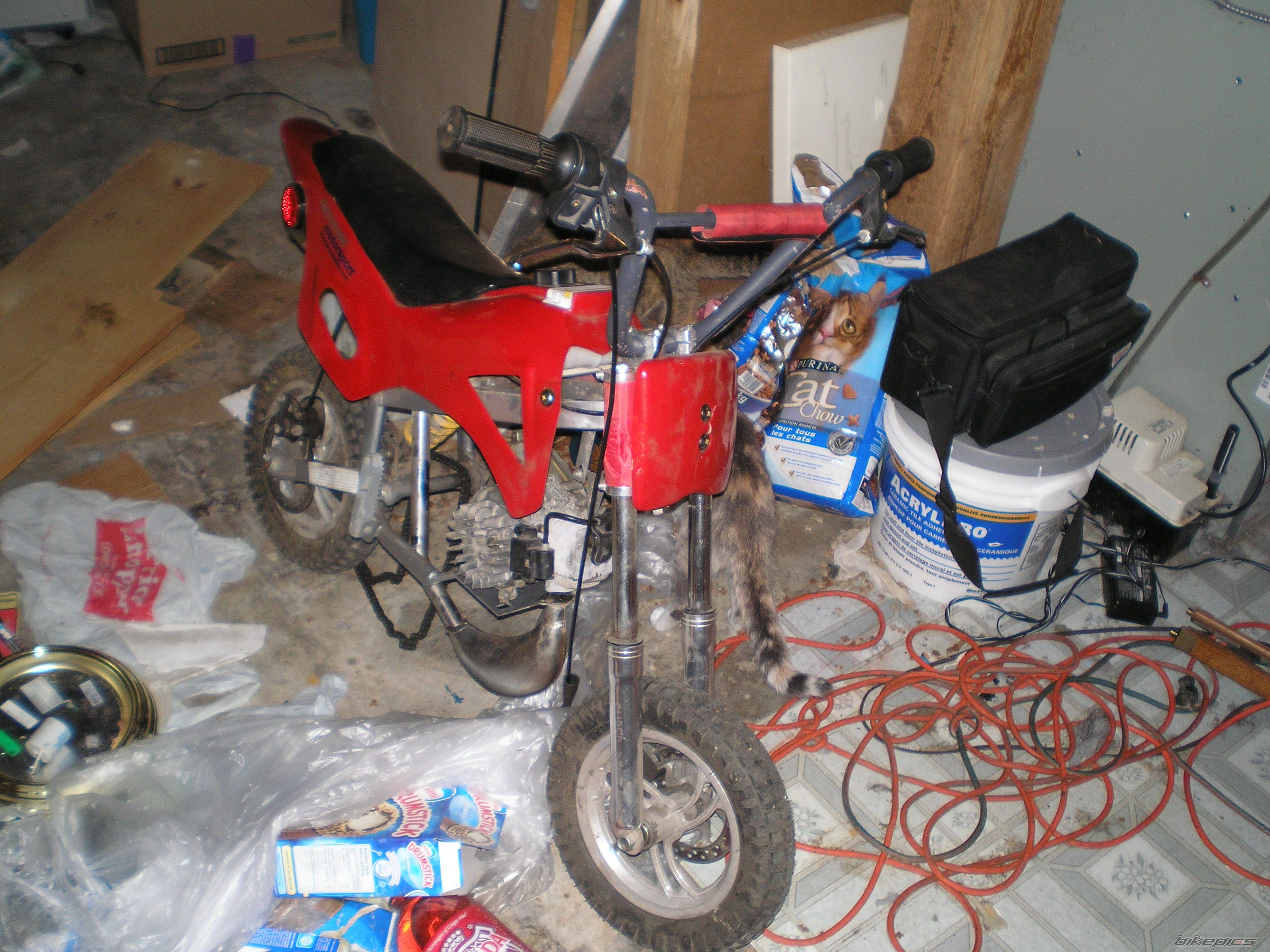    | Picture 1441445 motorcycle photo