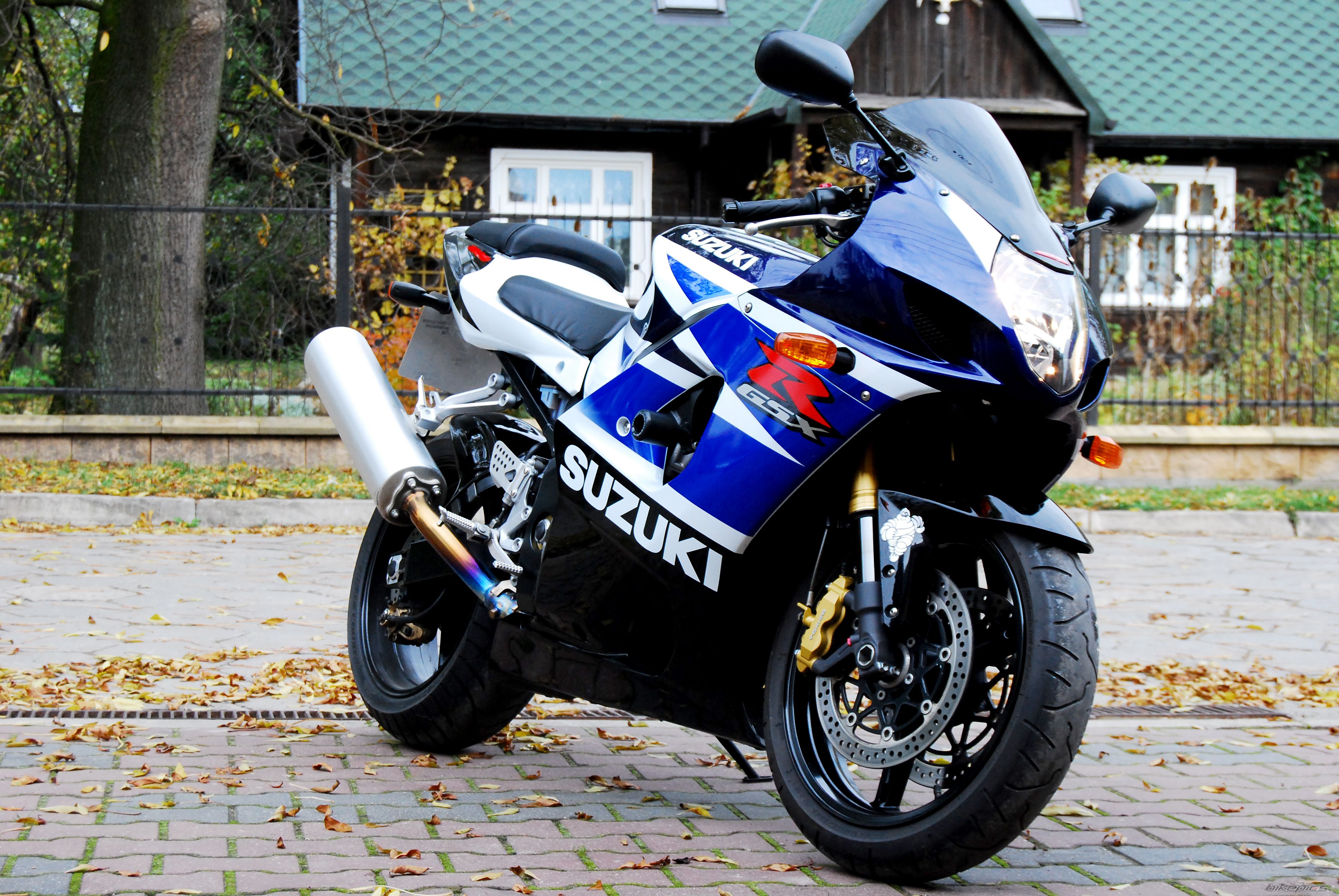 2004 SUZUKI GSX R 1000 | Picture 1442159 motorcycle photo