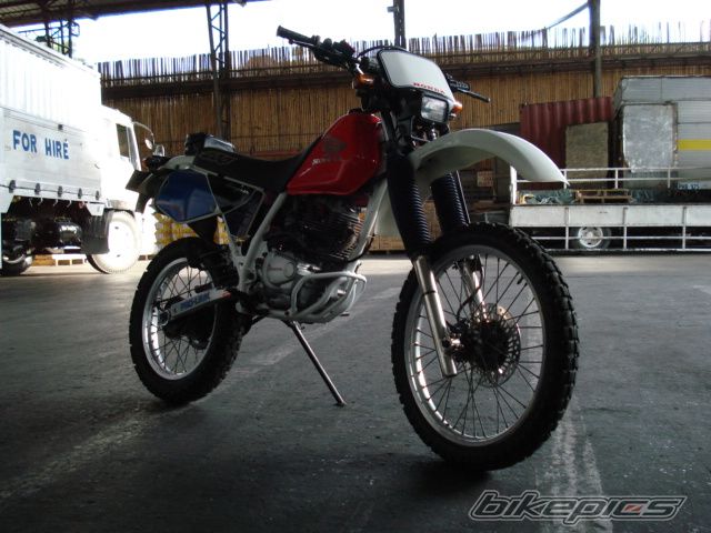 2008 HONDA XR 200 | Picture 1443264 motorcycle photo