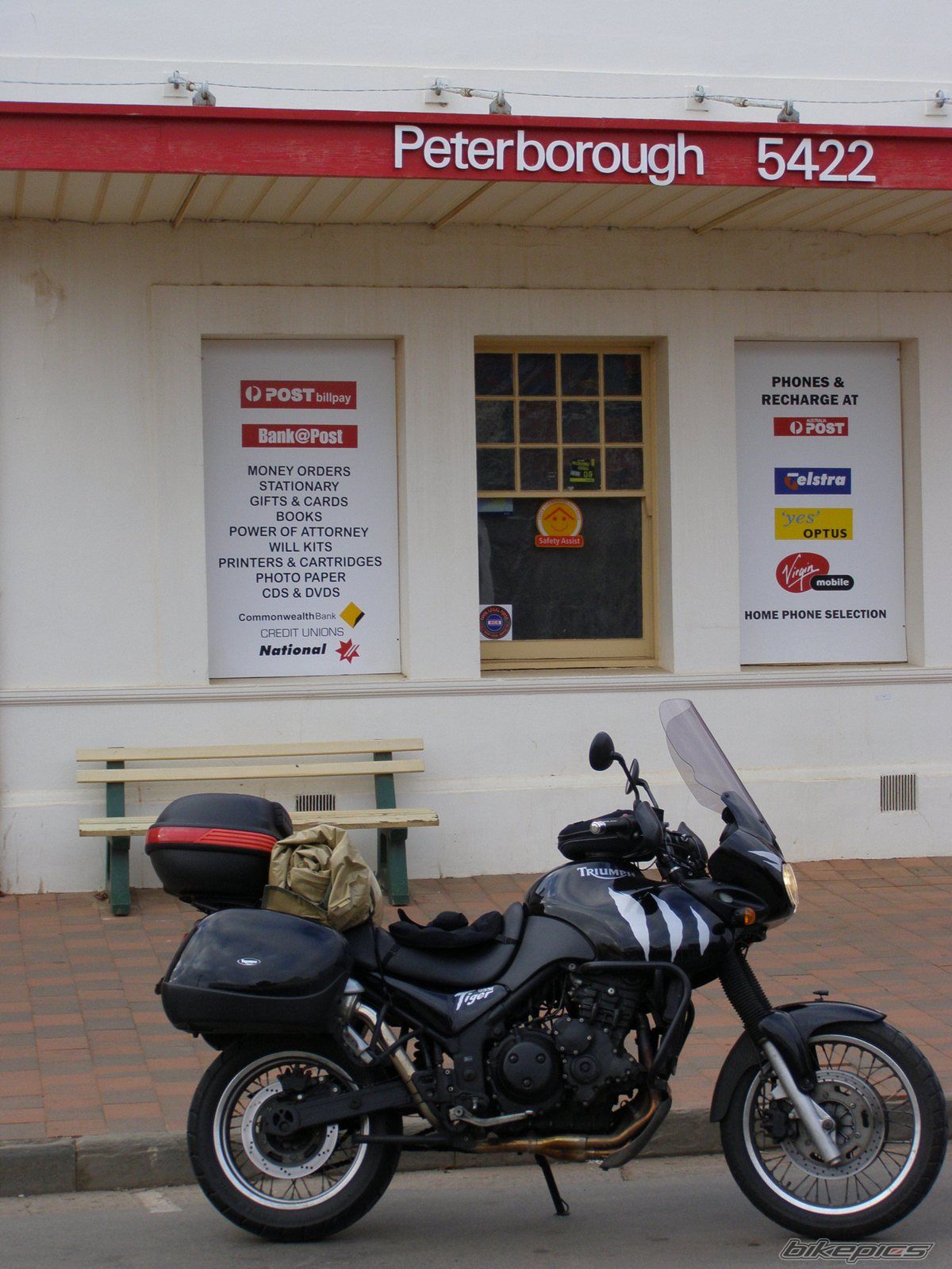 2003 TRIUMPH TIGER | Picture 1443277 motorcycle photo