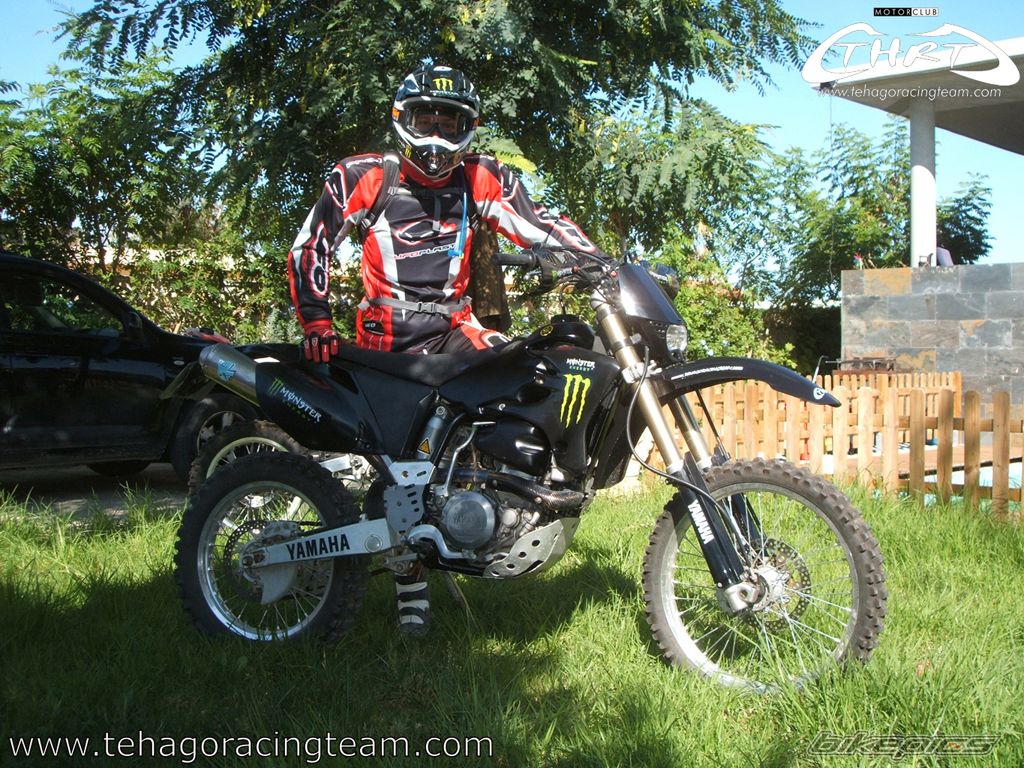 2004 YAMAHA WR 450F | Picture 1443310 motorcycle photo