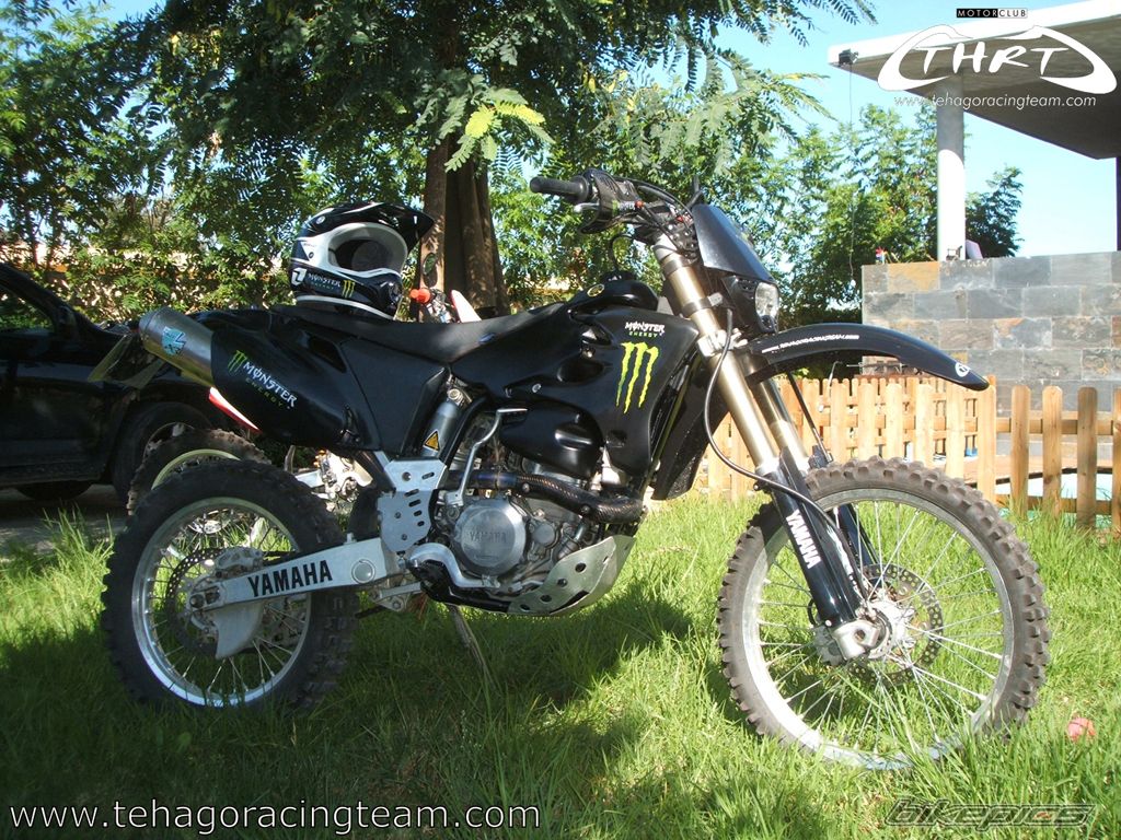 2004 YAMAHA WR 450F | Picture 1443313 motorcycle photo