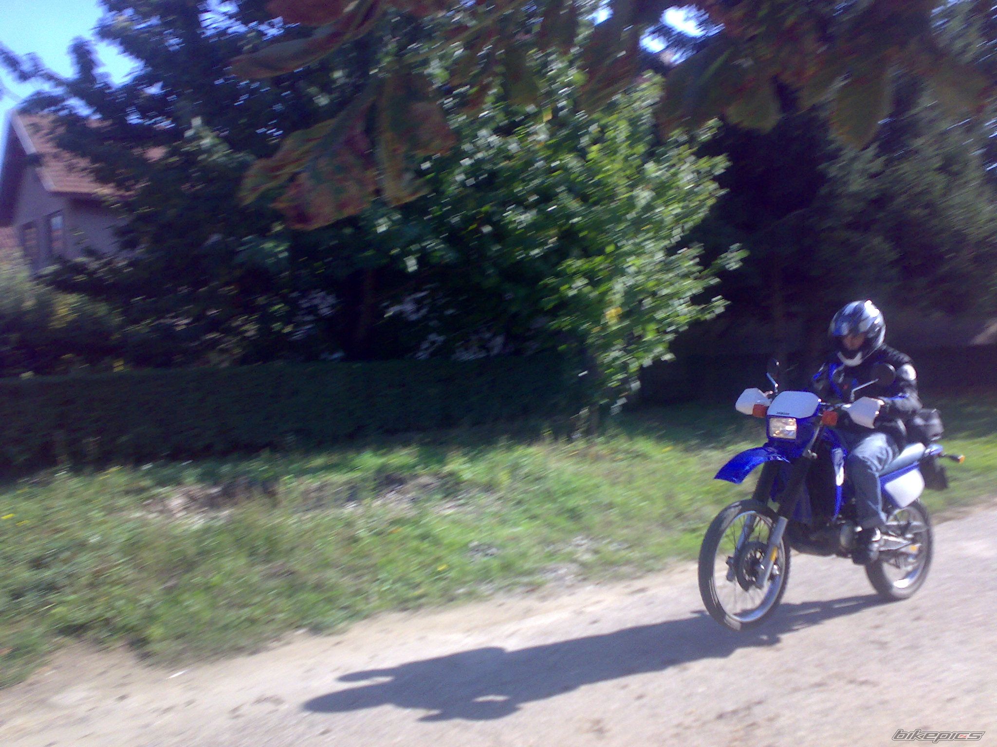 1999 YAMAHA DT 125 | Picture 1443379 motorcycle photo