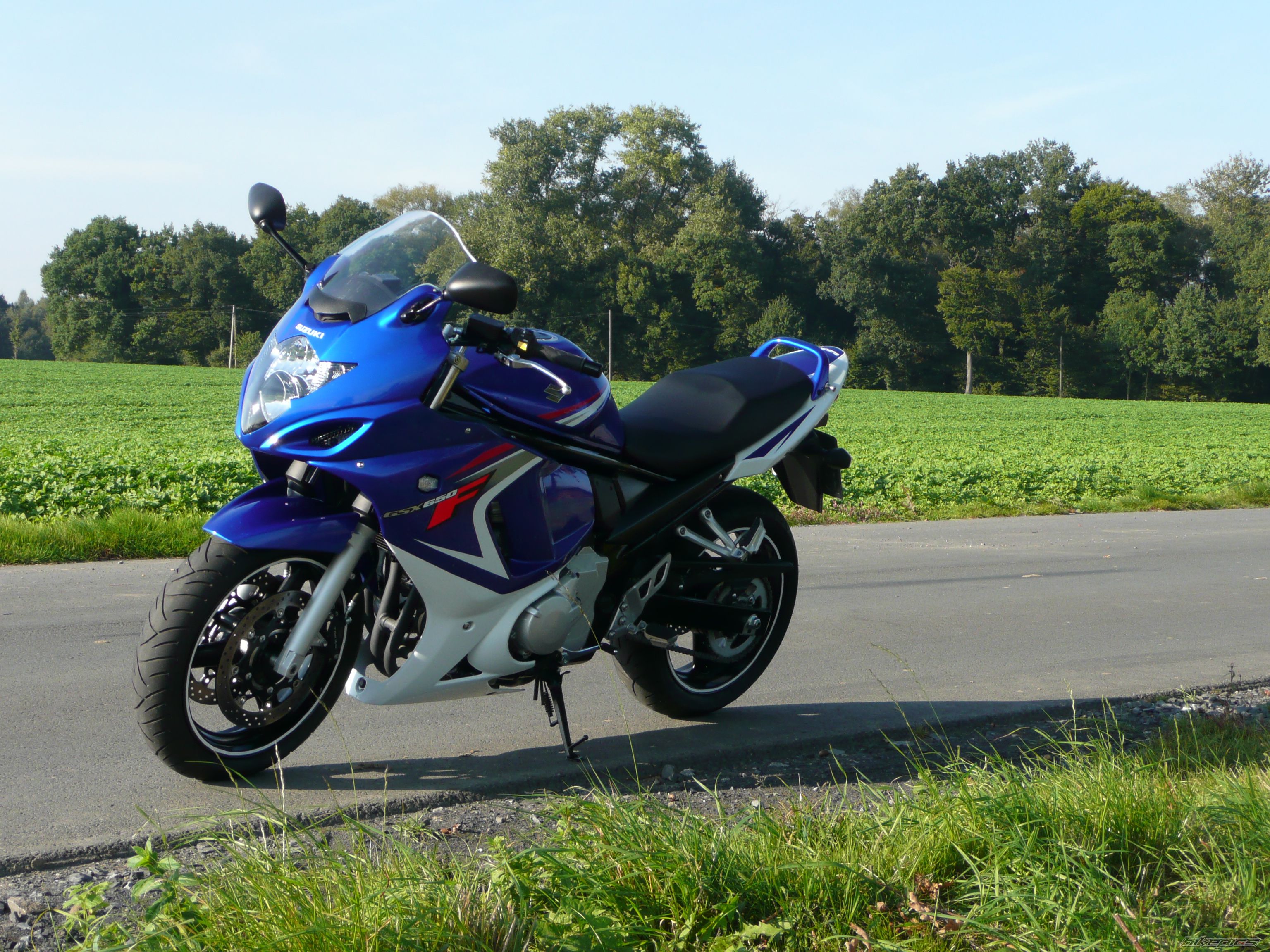 2008 SUZUKI GSX650F | Picture 1443583 motorcycle photo