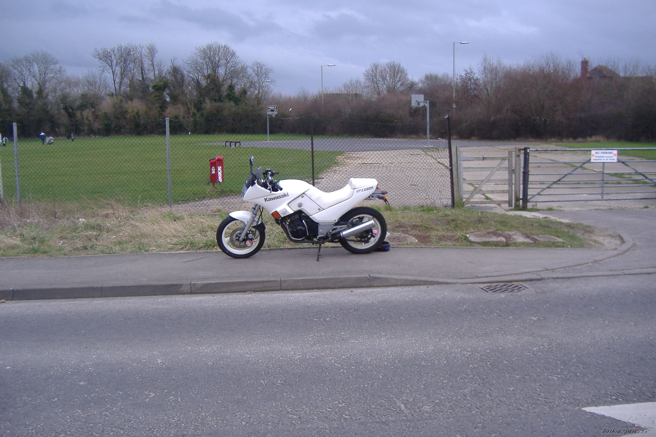 1986 KAWASAKI GPZ 250 | Picture 1443694 motorcycle photo