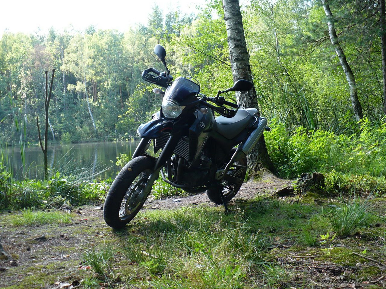 2005 YAMAHA XT 660X | Picture 1443695 motorcycle photo