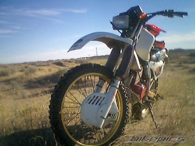 1986 HONDA XL 250 | Picture 1443784 motorcycle photo