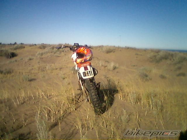 1986 HONDA XL 250 | Picture 1443787 motorcycle photo