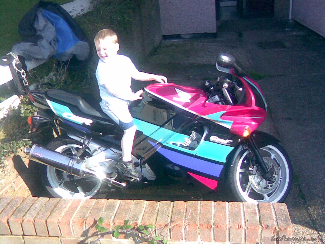 1991 HONDA CBR 600 | Picture 1444129 motorcycle photo