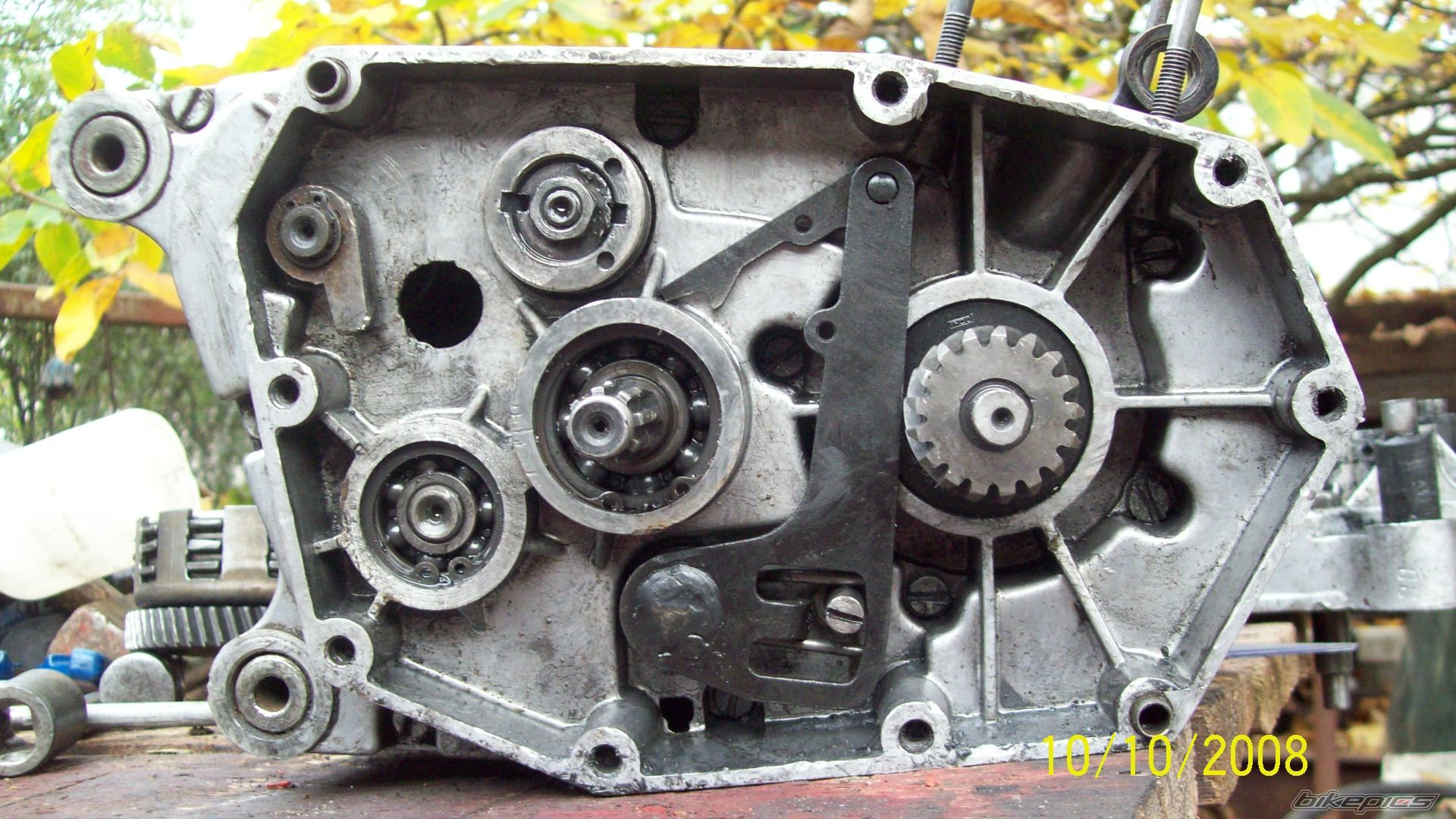    | Picture 1444317 motorcycle photo