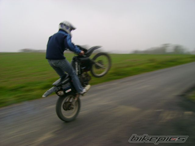 1994 HONDA CRM 75 | Picture 1444929 motorcycle photo