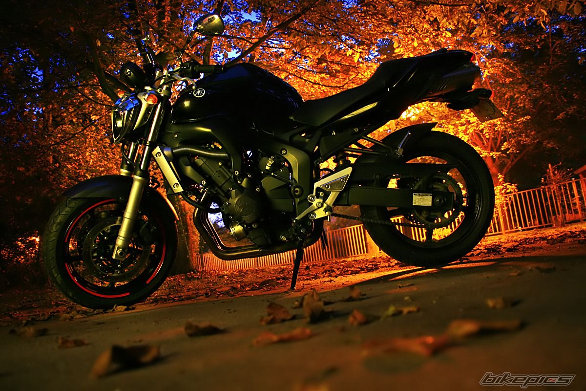2005 YAMAHA FZ6N | Picture 1445089 motorcycle photo