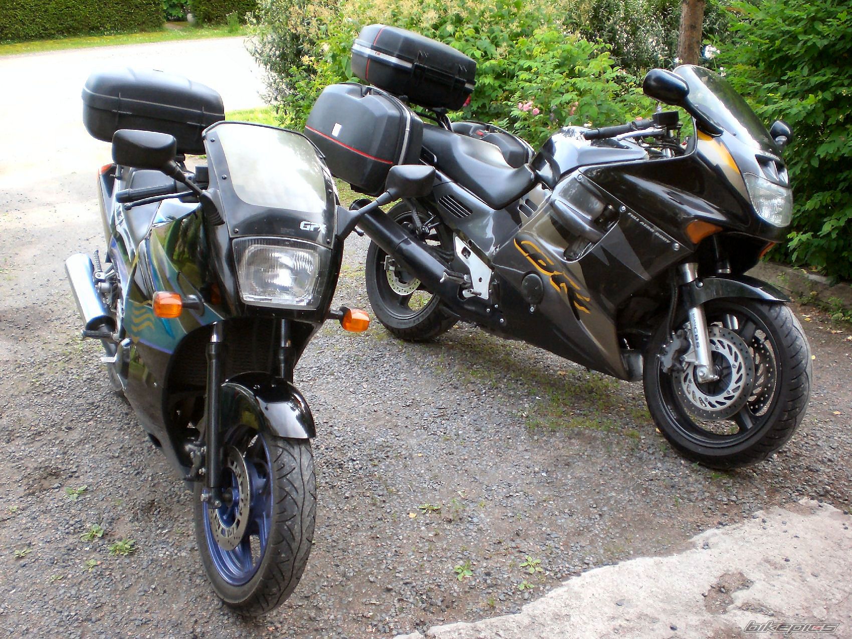 1998 HONDA CBR 1000 F | Picture 1445328 motorcycle photo