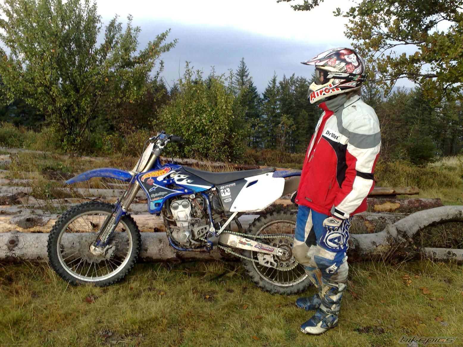 2004 YAMAHA YZ 250F | Picture 1445794 motorcycle photo
