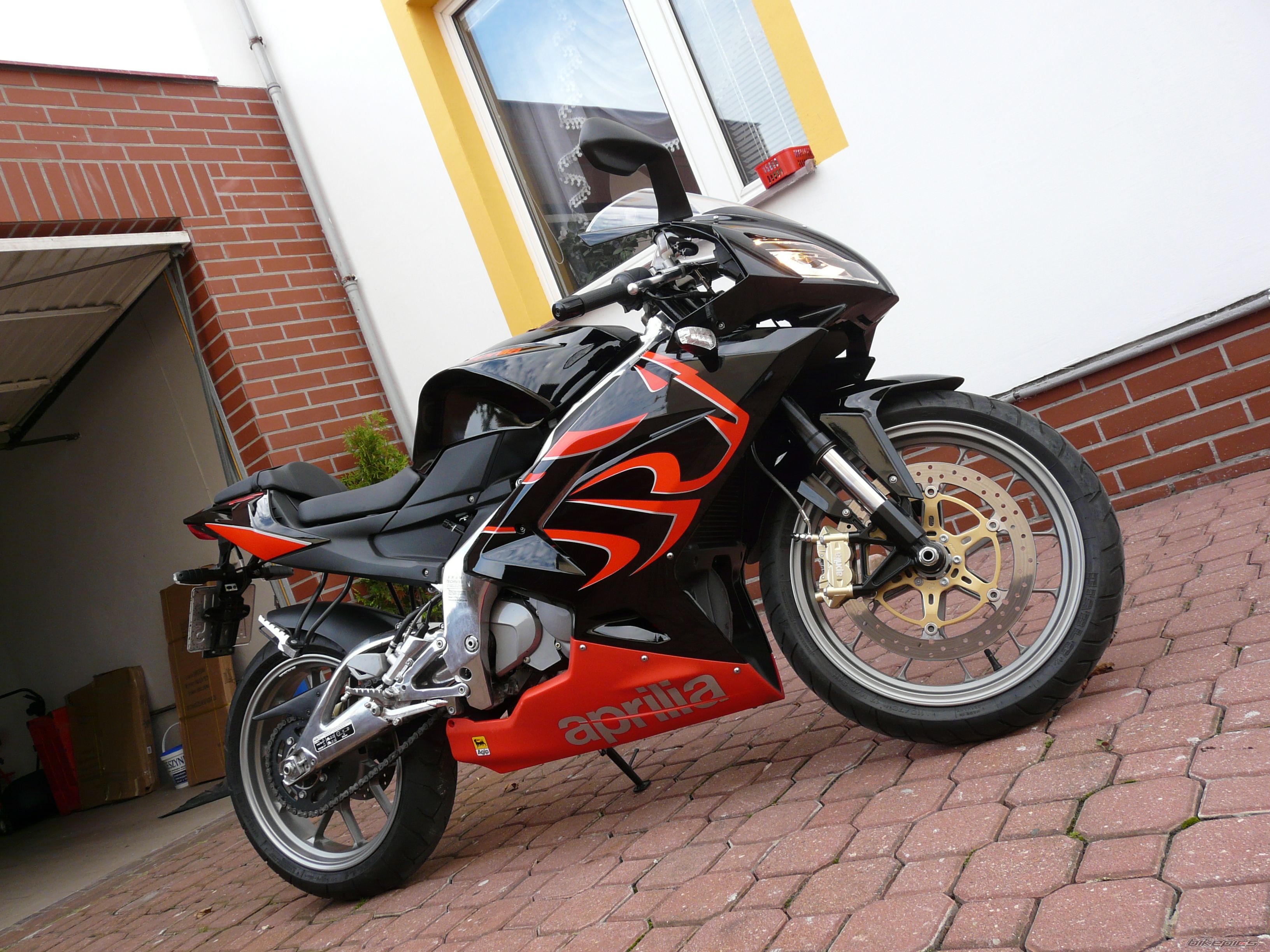 2008 APRILIA RS 125 | Picture 1445829 motorcycle photo