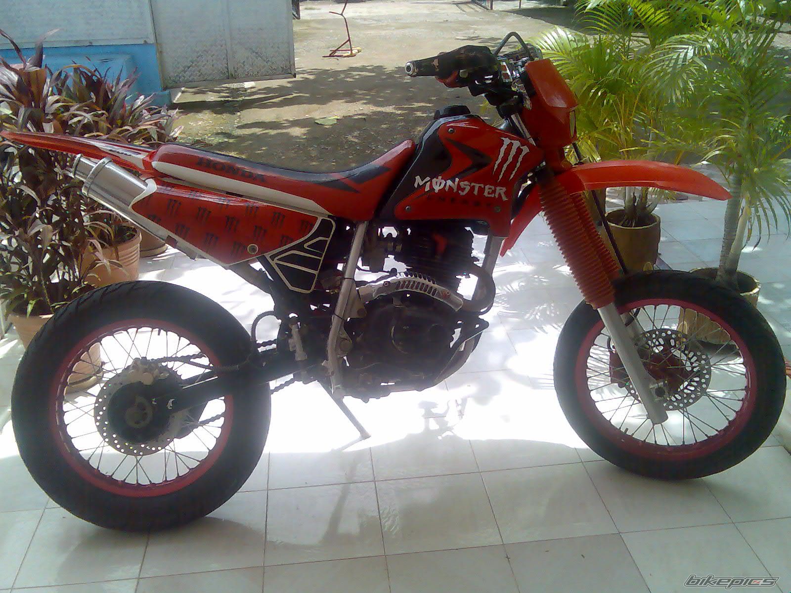 2008 HONDA XR 200 | Picture 1446002 motorcycle photo