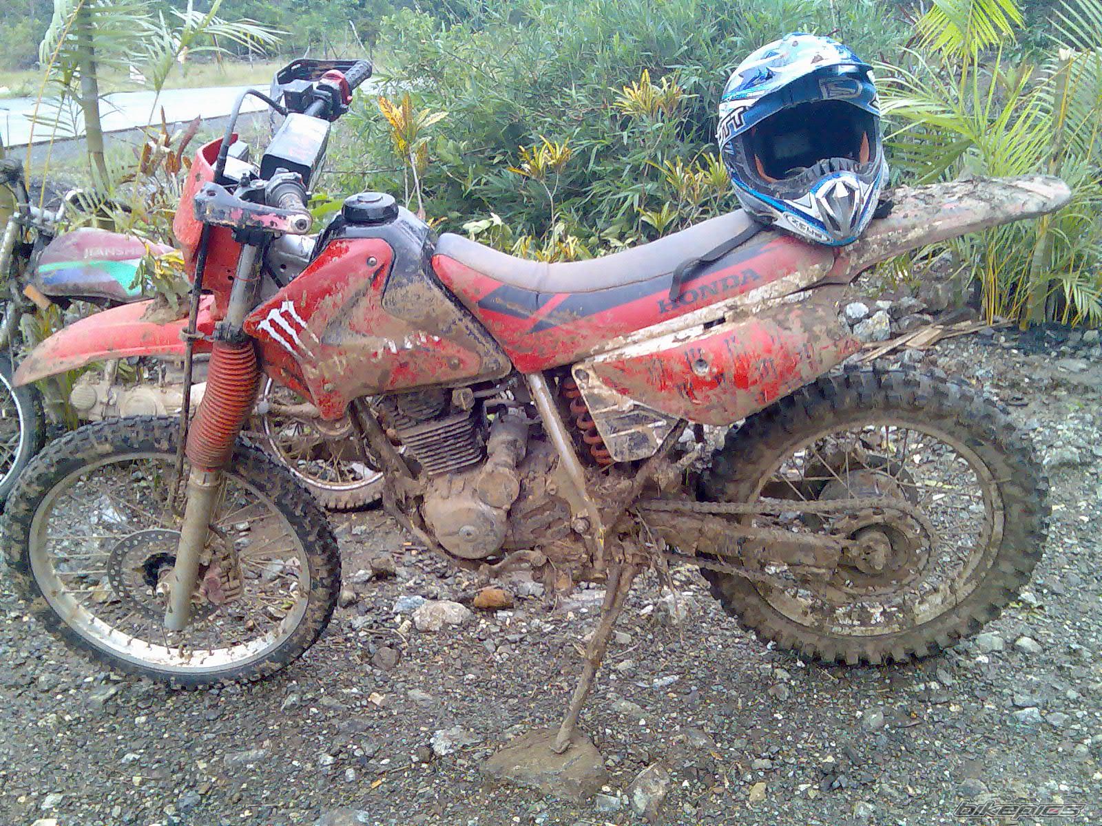 2008 HONDA XR 200 | Picture 1446004 motorcycle photo