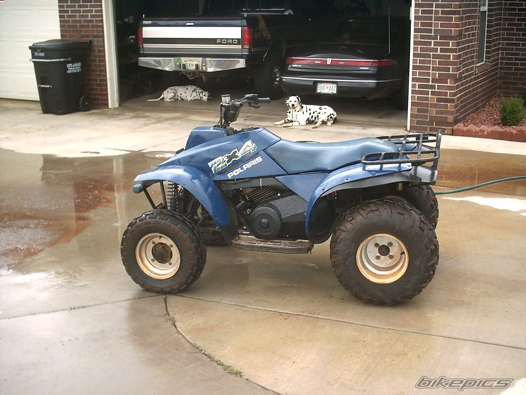 1993 POLARIS TRAIL BOSS 250 | Picture 1446119 motorcycle photo