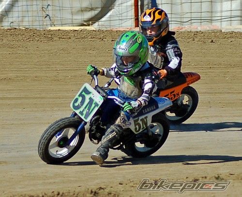    | Picture 1446612 motorcycle photo