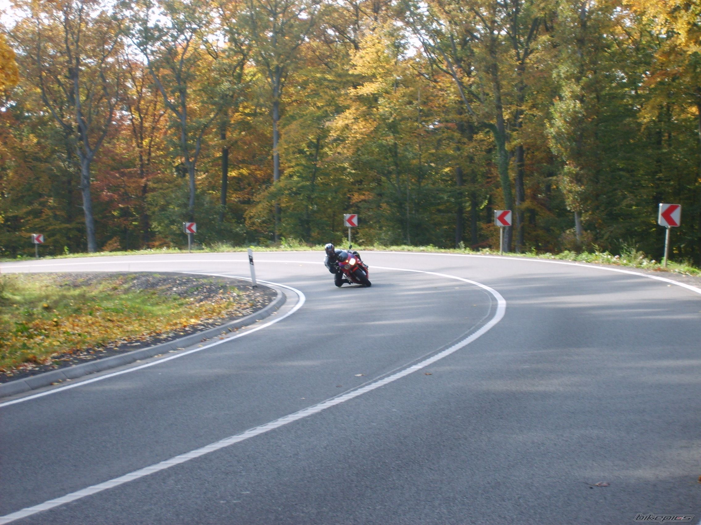 1995 HONDA CBR 900 | Picture 1446848 motorcycle photo