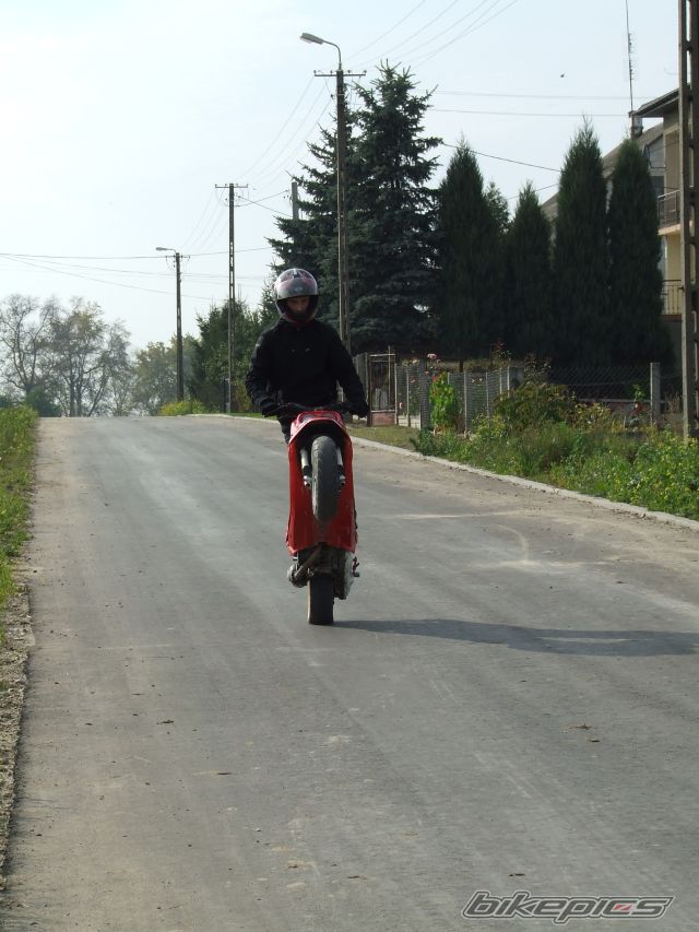 1995 YAMAHA BWS 50 | Picture 1446893 motorcycle photo