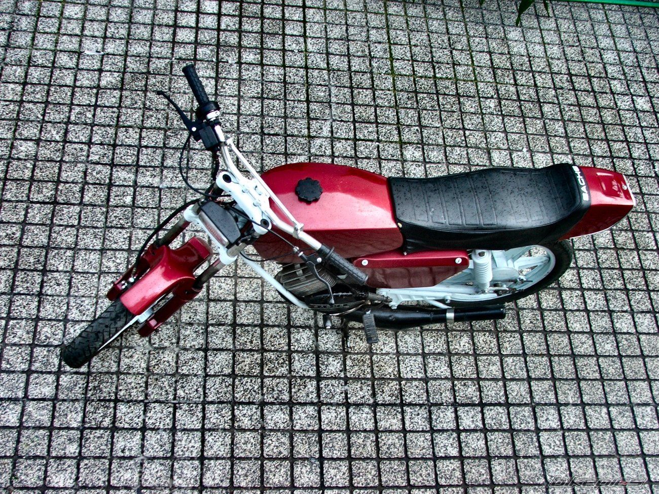1989 SACHS LOTUS | Picture 1446911 motorcycle photo