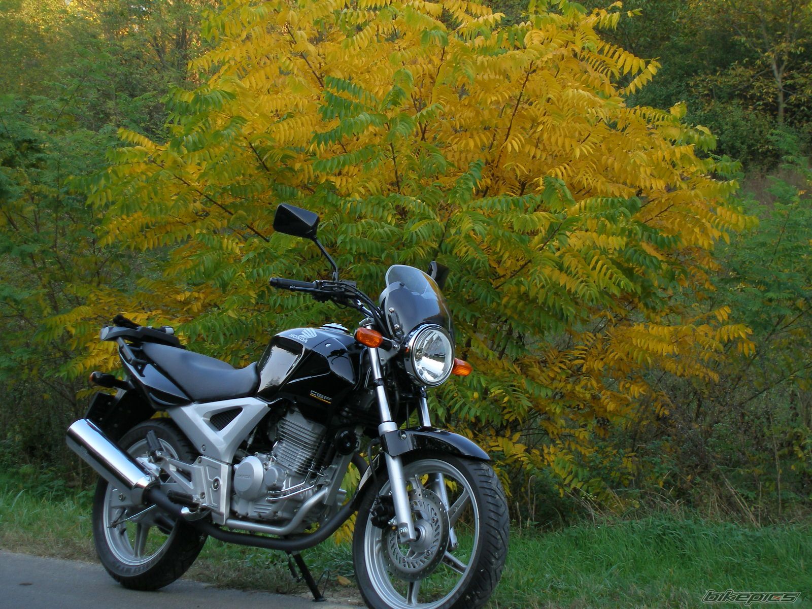 2006 HONDA CBF 250 | Picture 1447160 motorcycle photo
