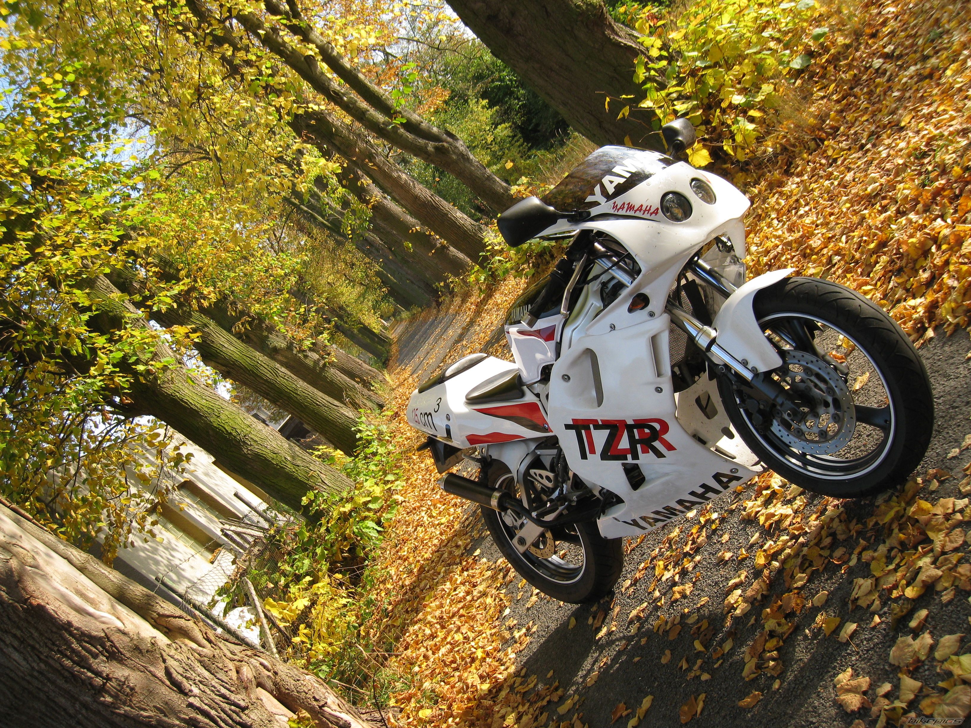 1997 YAMAHA TZR 125 | Picture 1447168 motorcycle photo