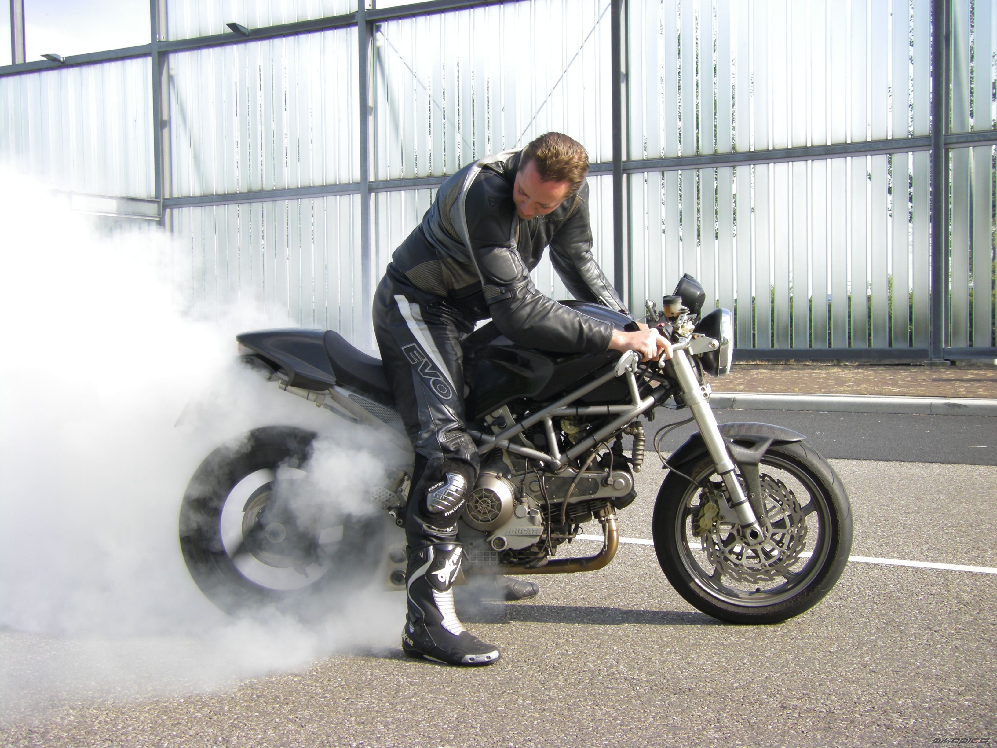 2004 DUCATI MONSTER 1000 | Picture 1447180 motorcycle photo