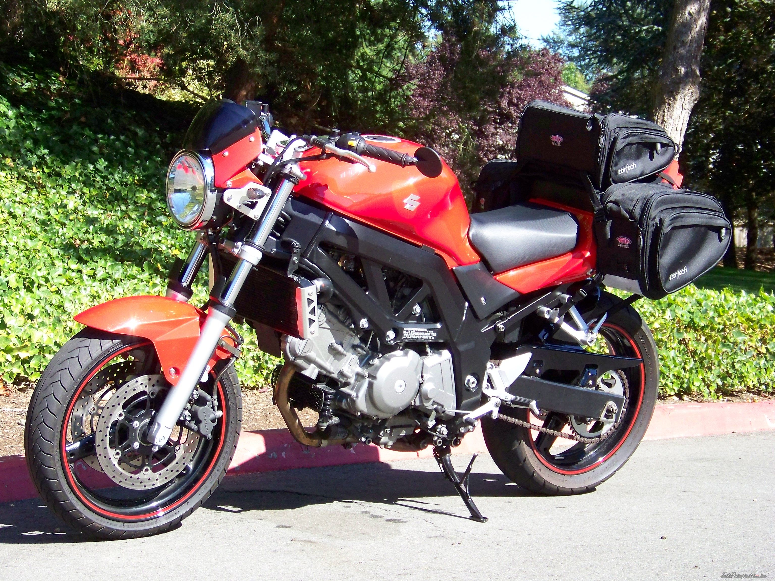 2006 SUZUKI SV 650 | Picture 1447559 motorcycle photo