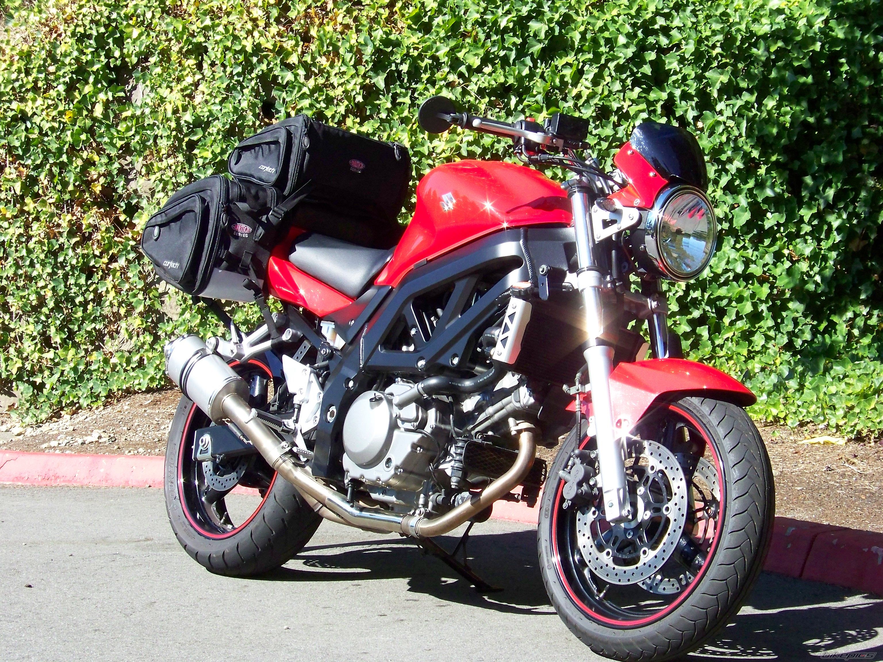 2006 SUZUKI SV 650 | Picture 1447566 motorcycle photo