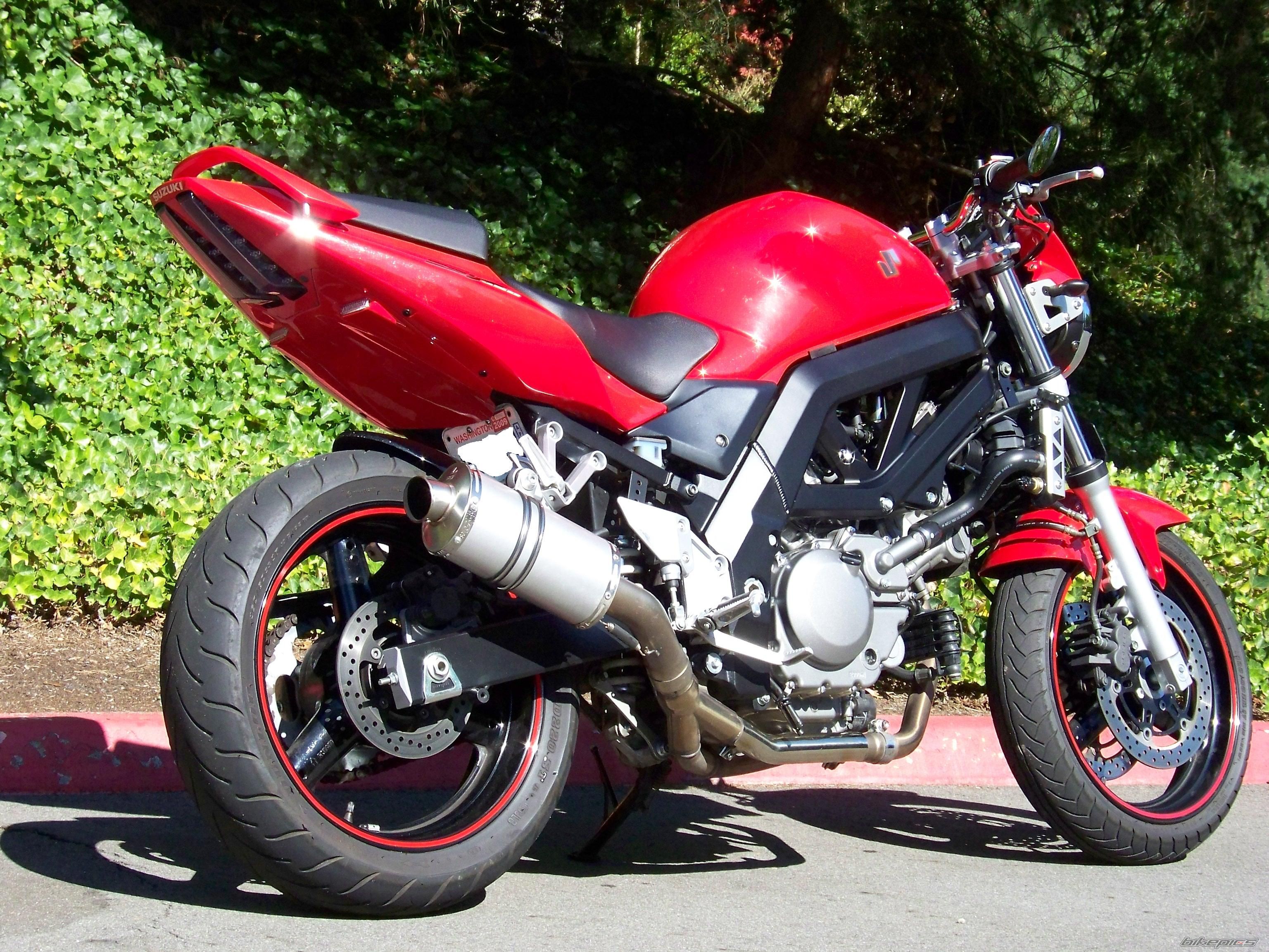 2006 SUZUKI SV 650 | Picture 1447571 motorcycle photo