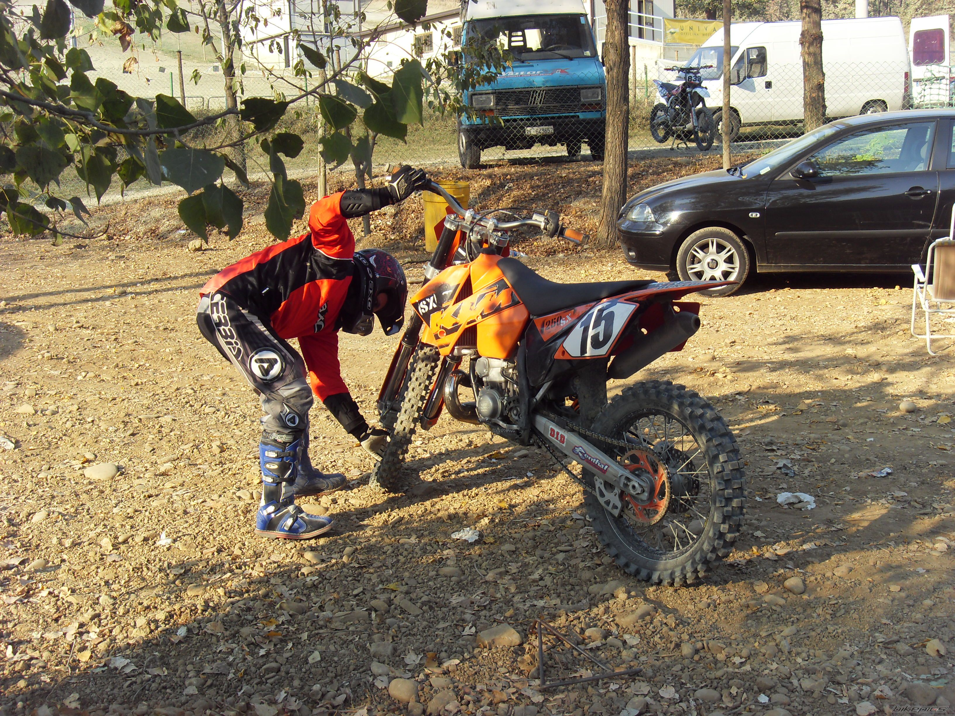 2008 SUZUKI RM 250 Z | Picture 1447889 motorcycle photo