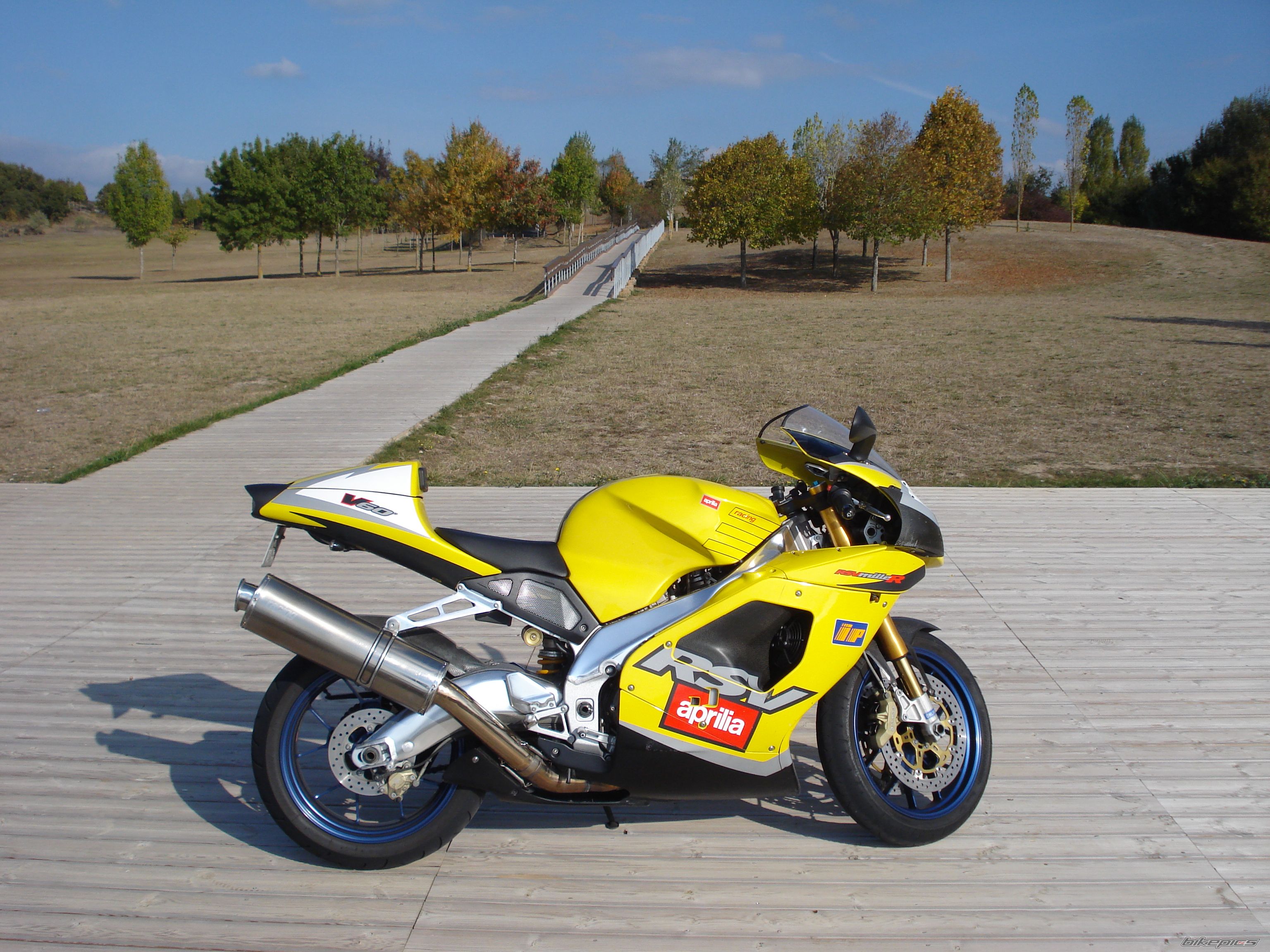 2001 APRILIA RSV 1000R MILLE | Picture 1447904 motorcycle photo