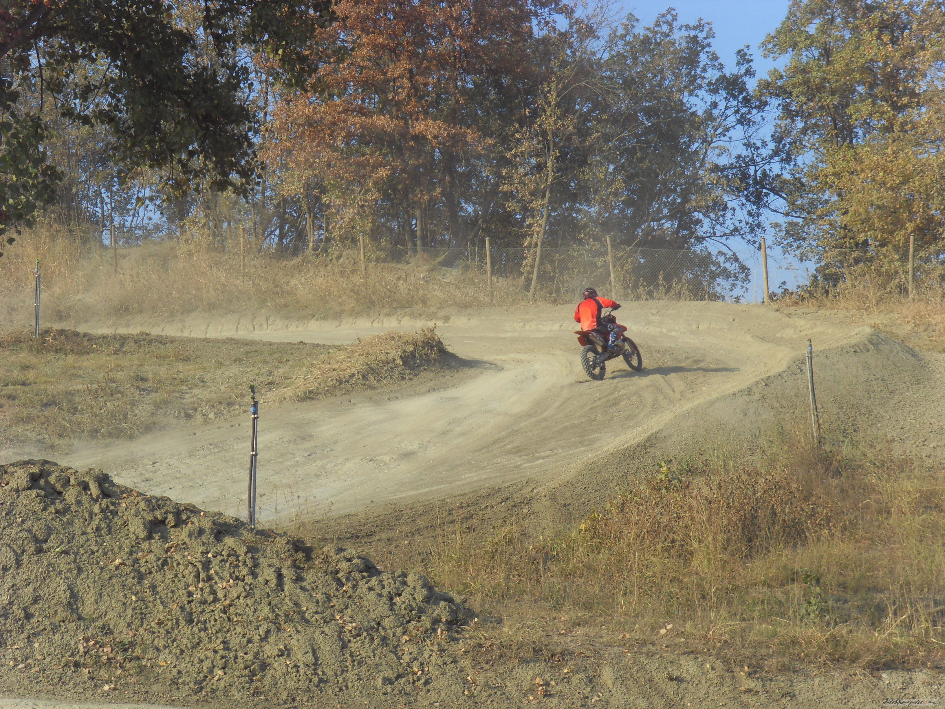 2008 SUZUKI RM 250 Z | Picture 1447943 motorcycle photo