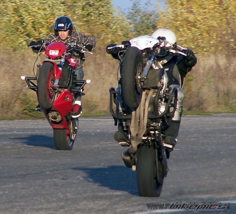 1998 HONDA CBR 600 | Picture 1448183 motorcycle photo