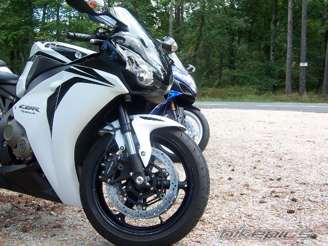 2008 HONDA CBR 1000  RR | Picture 1448263 motorcycle photo
