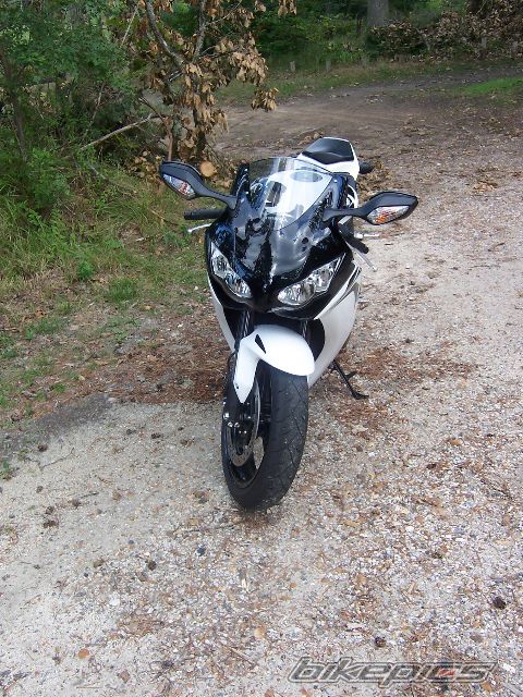 2008 HONDA CBR 1000  RR | Picture 1448265 motorcycle photo