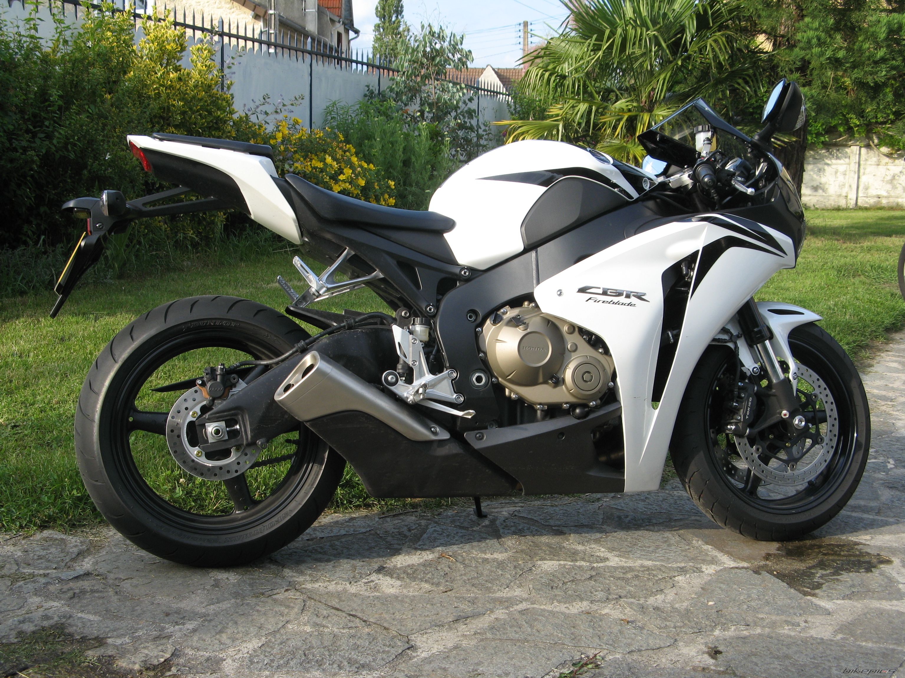 2008 HONDA CBR 1000  RR | Picture 1448278 motorcycle photo