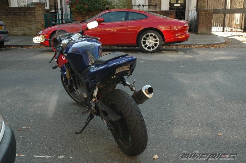 2007 HYOSUNG GT 250 COMET | Picture 1448421 motorcycle photo