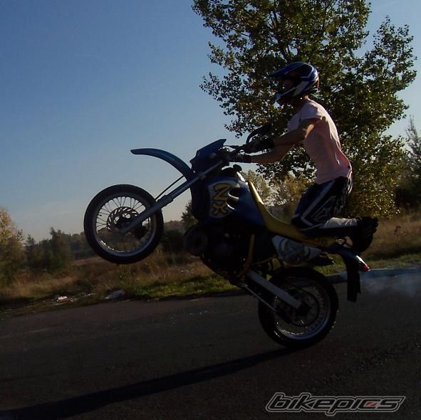 2008 WSK STREETFIGHTER | Picture 1448772 motorcycle photo