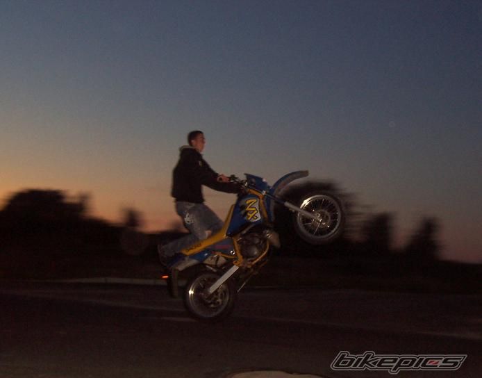 2008 WSK STREETFIGHTER | Picture 1448774 motorcycle photo