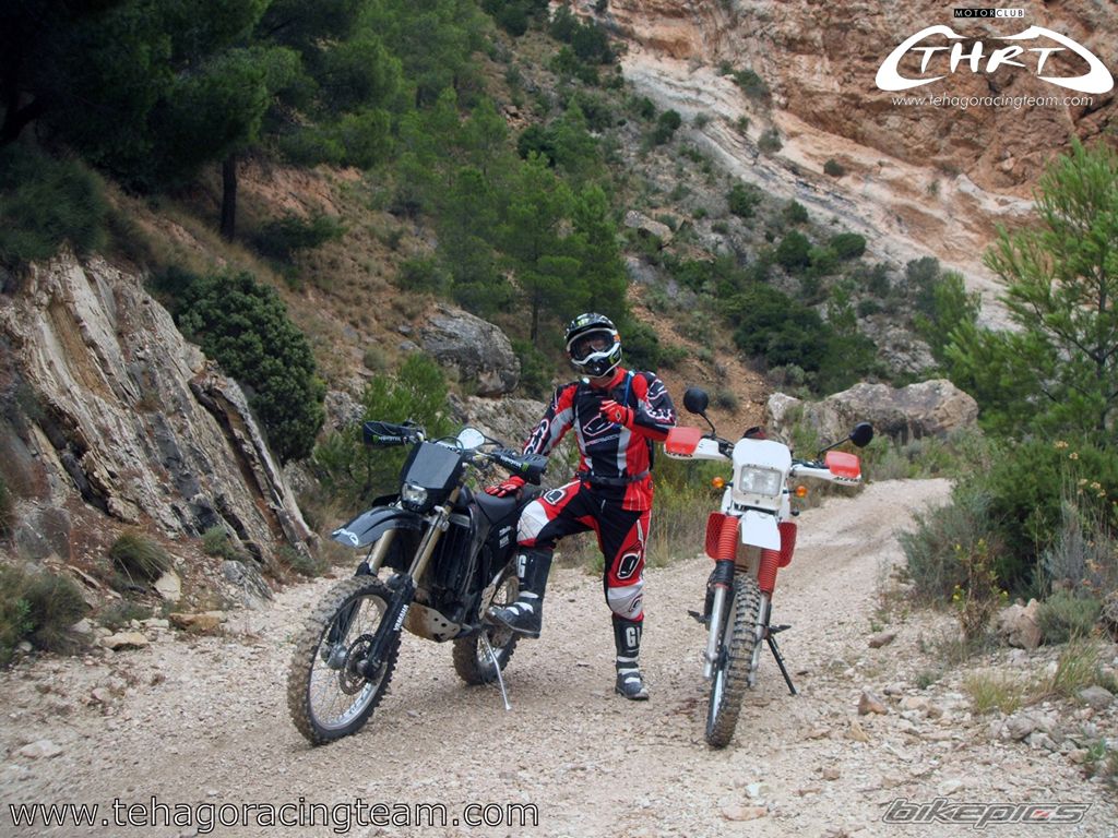2004 YAMAHA WR 450F | Picture 1448916 motorcycle photo