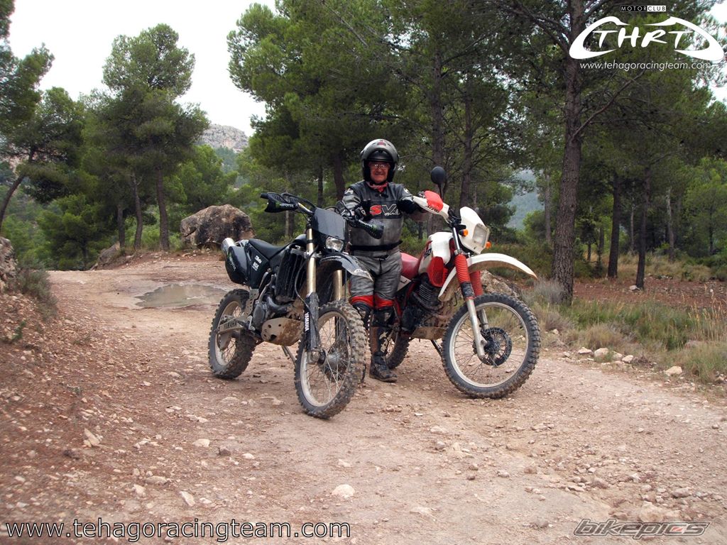 2004 YAMAHA WR 450F | Picture 1448917 motorcycle photo