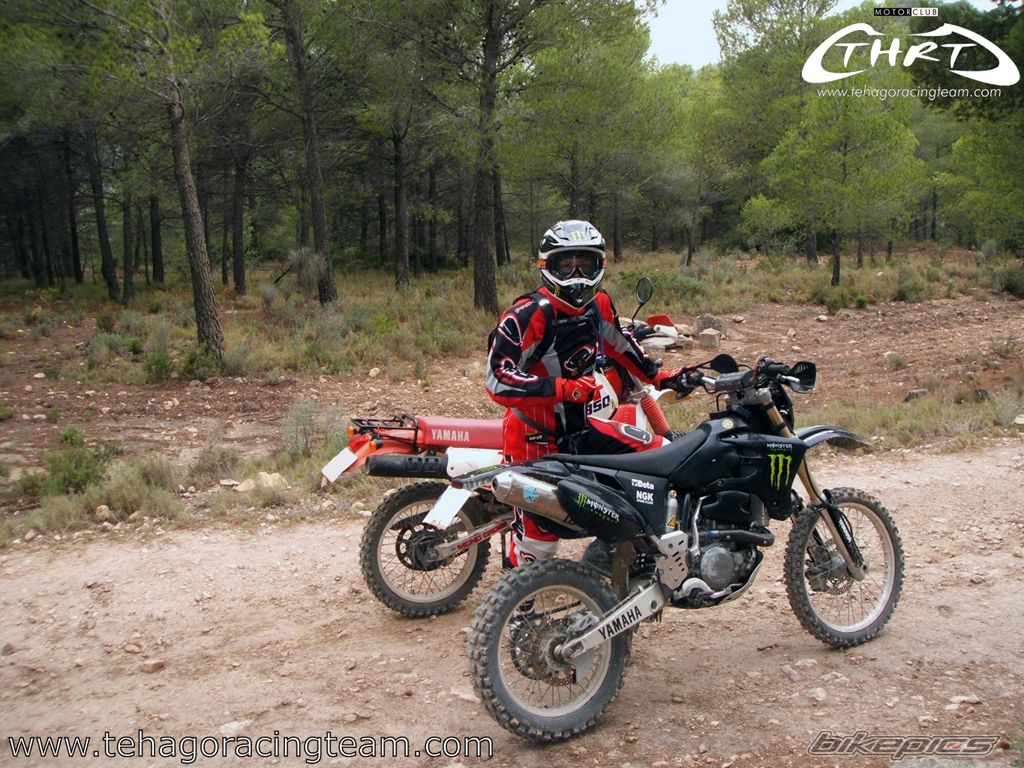 2004 YAMAHA WR 450F | Picture 1448918 motorcycle photo