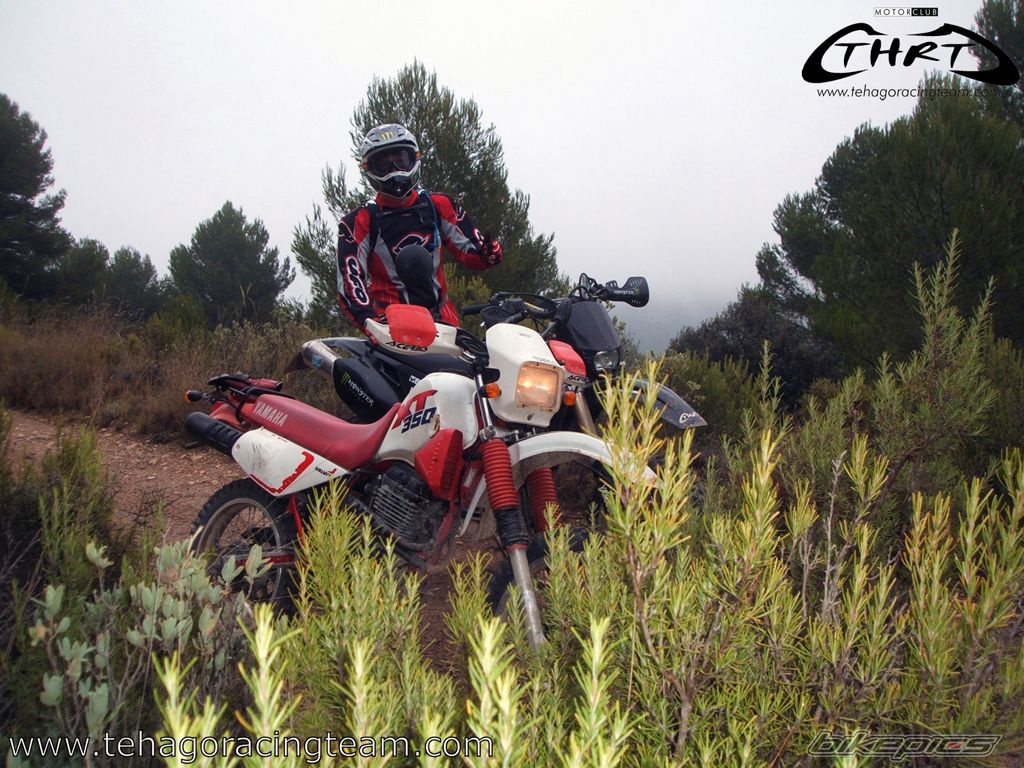 2004 YAMAHA WR 450F | Picture 1448919 motorcycle photo