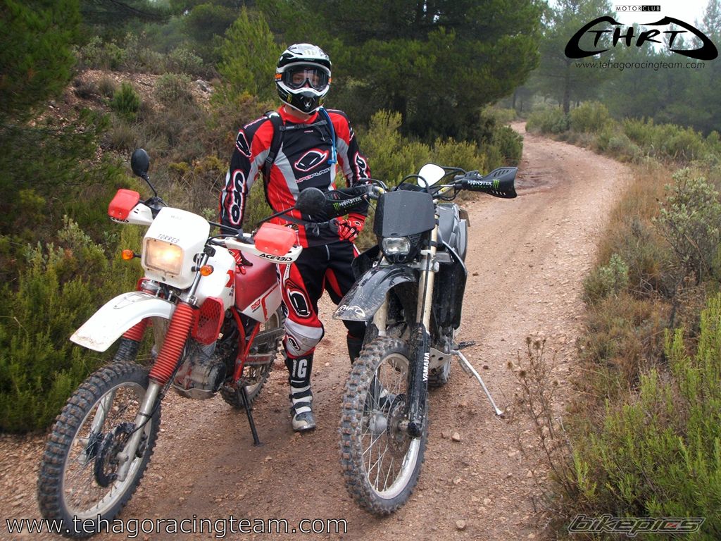 2004 YAMAHA WR 450F | Picture 1448920 motorcycle photo