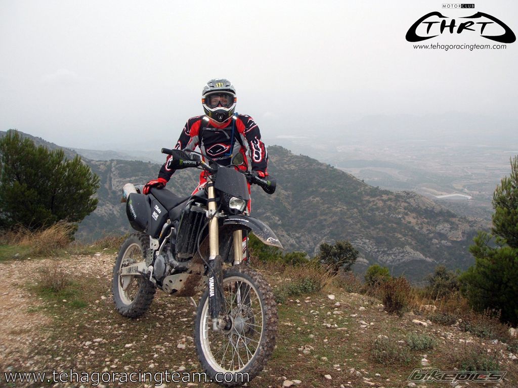 2004 YAMAHA WR 450F | Picture 1448922 motorcycle photo